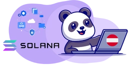 Cartoon panda using a laptop with the Solana logo and cloud icons.