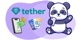 "Cartoon panda with Tether logo, phone showing wallet, and credit cards.