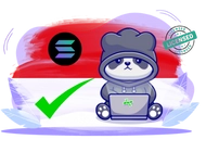 Panda in hoodie with Solana logo, Indonesian flag, and laptop.