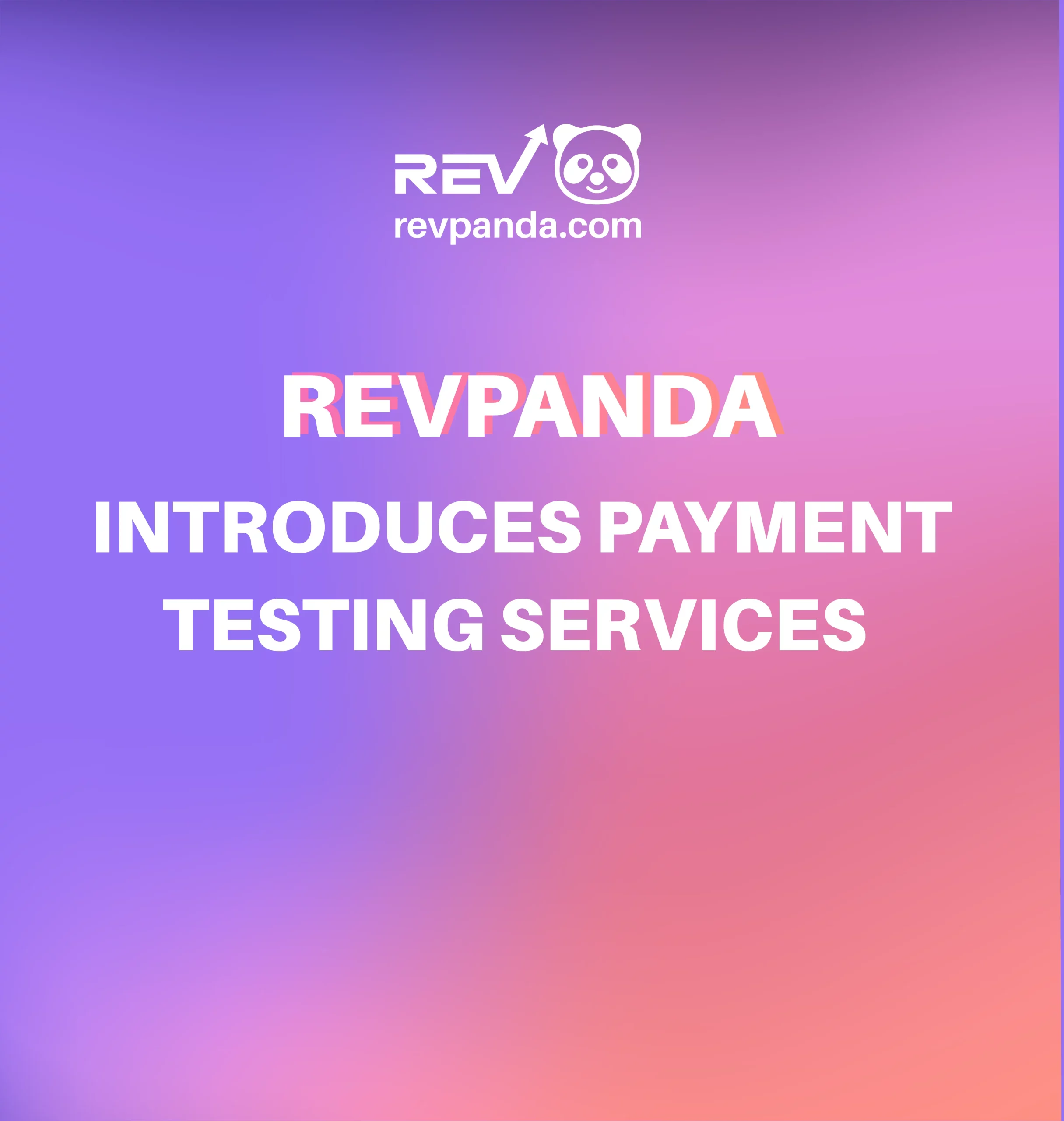 Revpanda Introduces Payment Testing Services