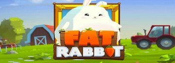 Fat rabbit