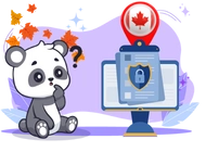 A confused panda looking at a computer screen with a document and a padlock icon. A Canadian flag pin is on the screen.