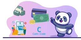 A panda pointing at various payment methods: cash, credit cards, and online payments.