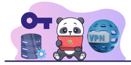 Panda with a key, and world with "vpn" text on it on background