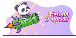 Cartoon panda with "moon princess" text flying with a rocket